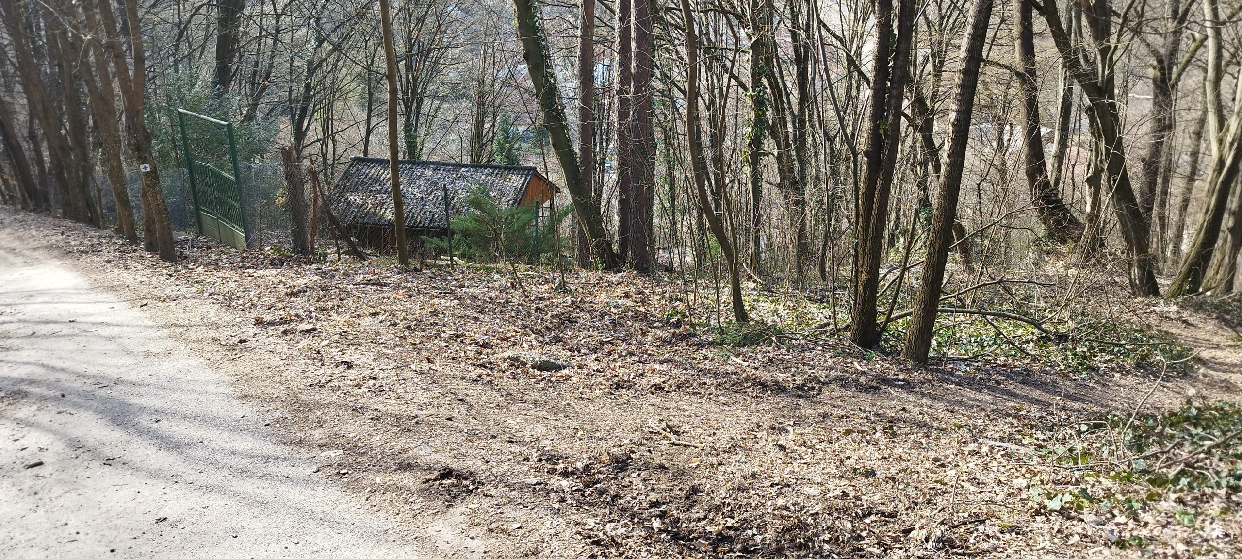 IMG_20230319_143238 Harmadik út fent Hámor Viaferrata C