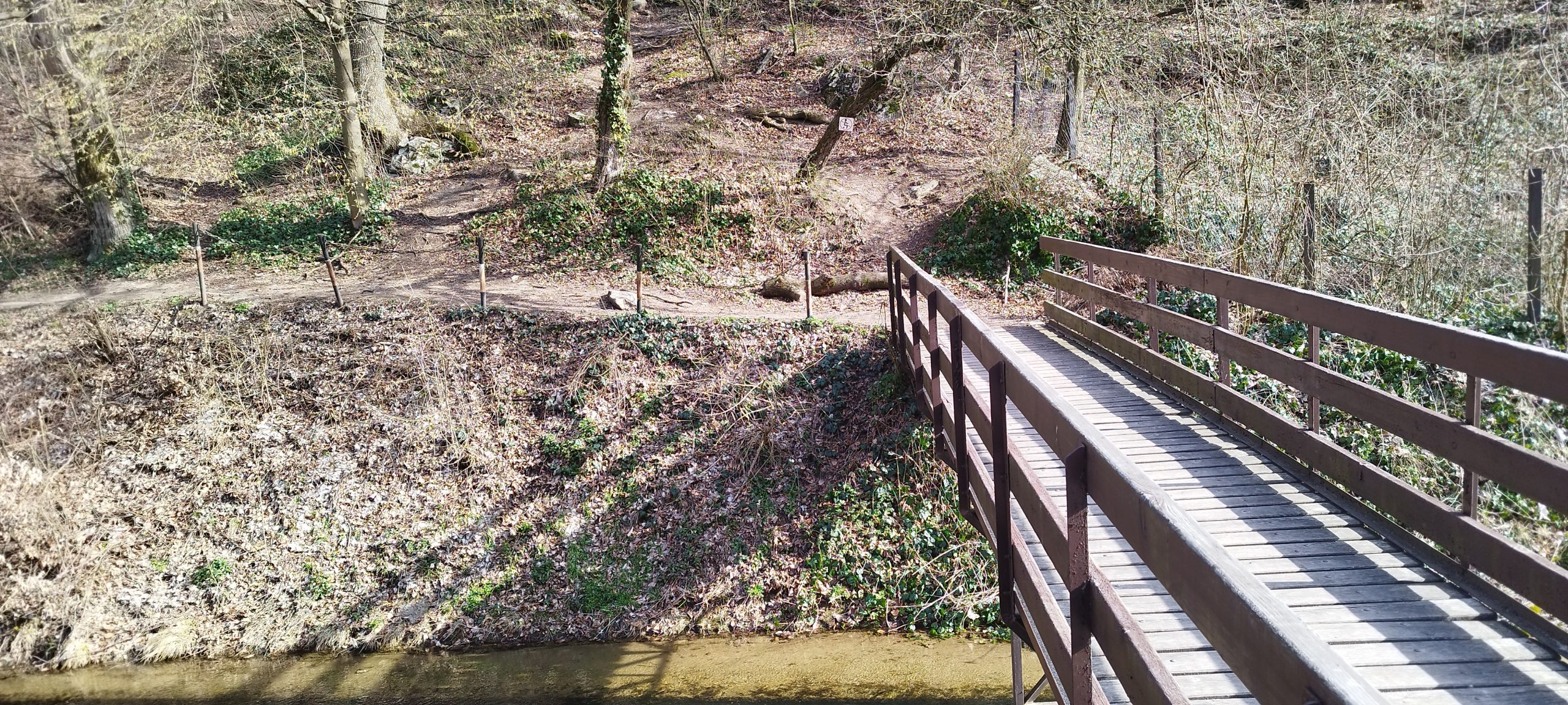 Hámori hd Hámori hd