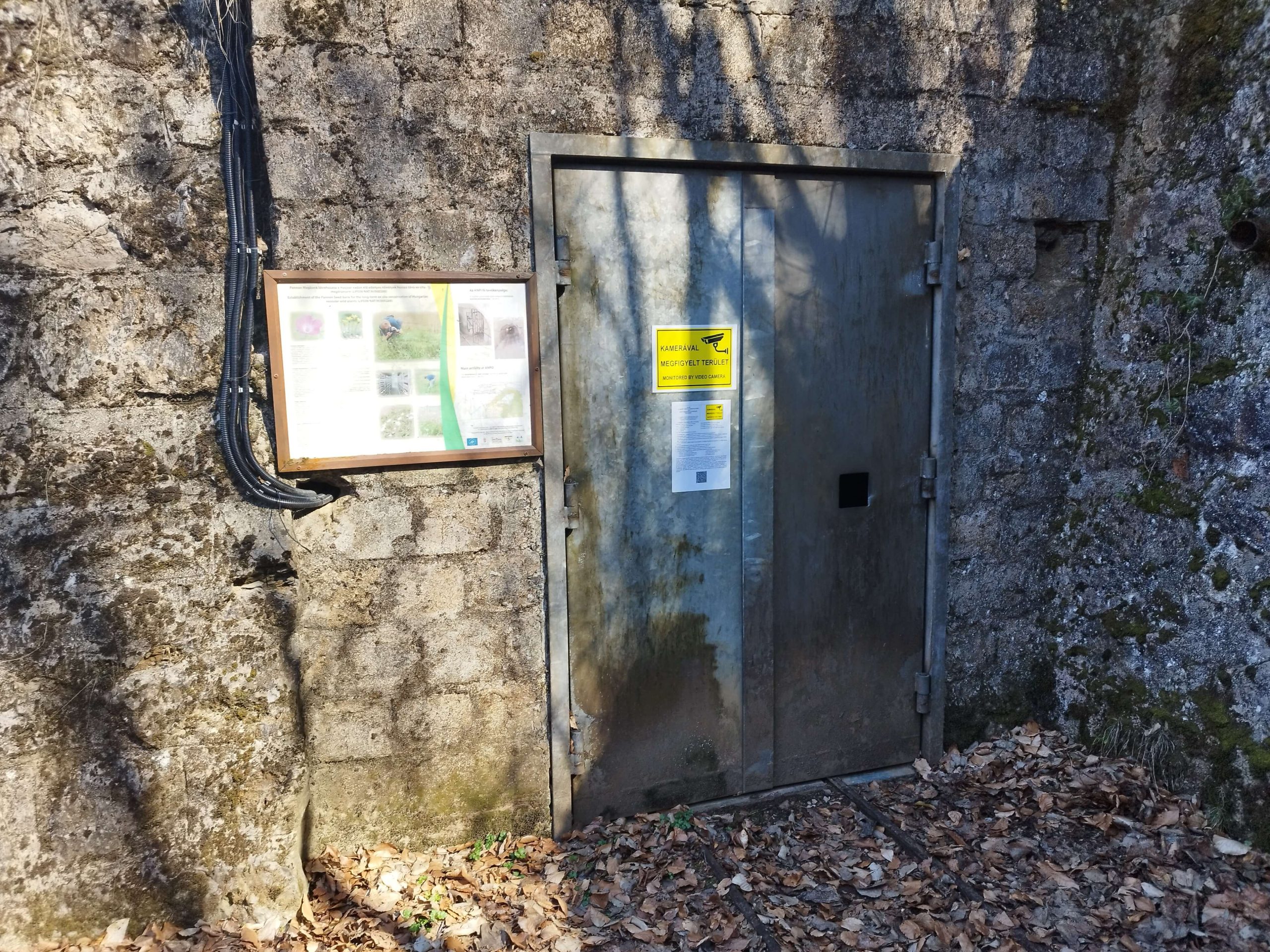 Mór Viaferrata parkoló