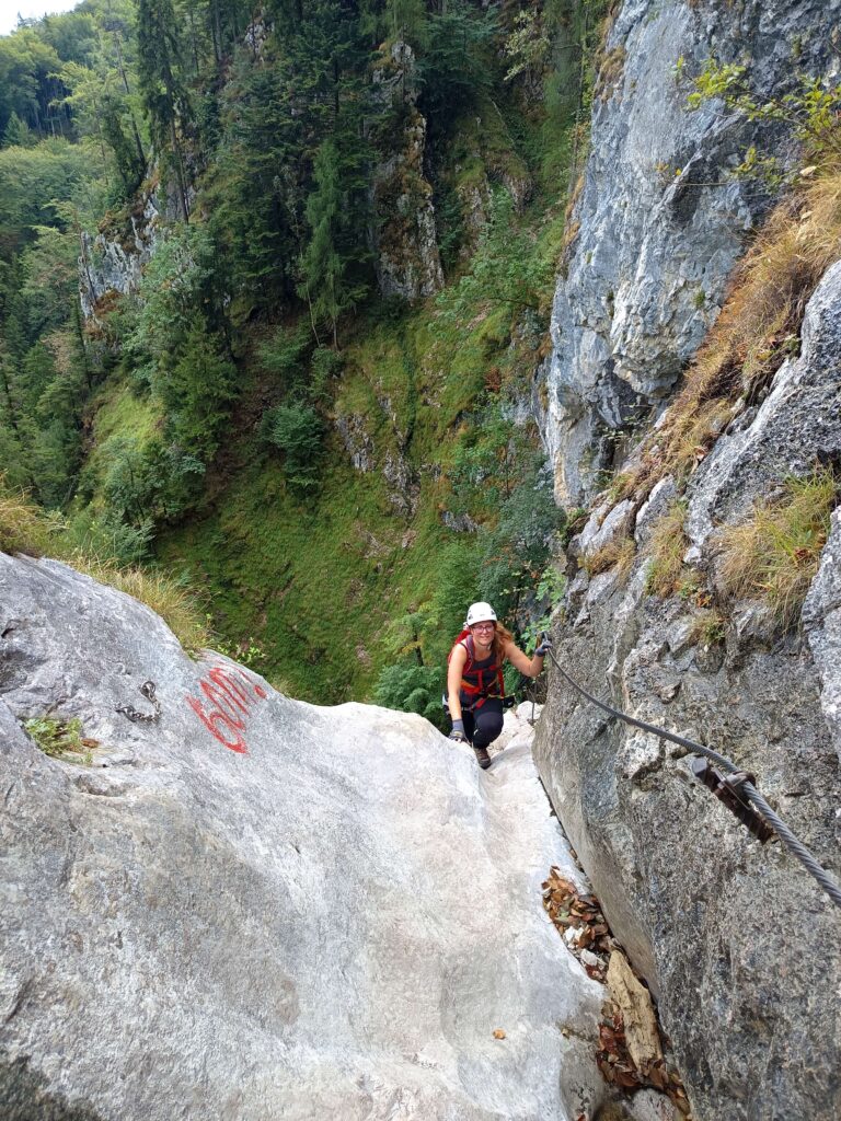 Drachenwand Klettersteig – Lélegzetelállító mászás a Mondsee felett Ausztriában 5 IMG 20260819 121333