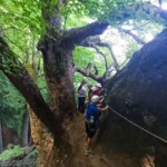 Skalka viaferrata – Szlovákia legizgalmasabb vasalt útjai 81