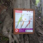 Skalka viaferrata – Szlovákia legizgalmasabb vasalt útjai 87