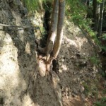 Skalka viaferrata – Szlovákia legizgalmasabb vasalt útjai 158