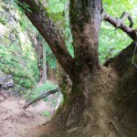 Skalka viaferrata – Szlovákia legizgalmasabb vasalt útjai 161