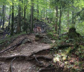 Drachenwand Klettersteig – Lélegzetelállító mászás a Mondsee felett Ausztriában 24 3926210989