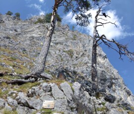 Drachenwand Klettersteig – Lélegzetelállító mászás a Mondsee felett Ausztriában 41 1703258085