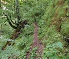 Postalmklamm klettersteig: izgalmas kaland, garantált adrenalin 61 766738299